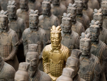 JMS Contractors Groundwork and Civil Engineering - Recruitment Terracotta army image